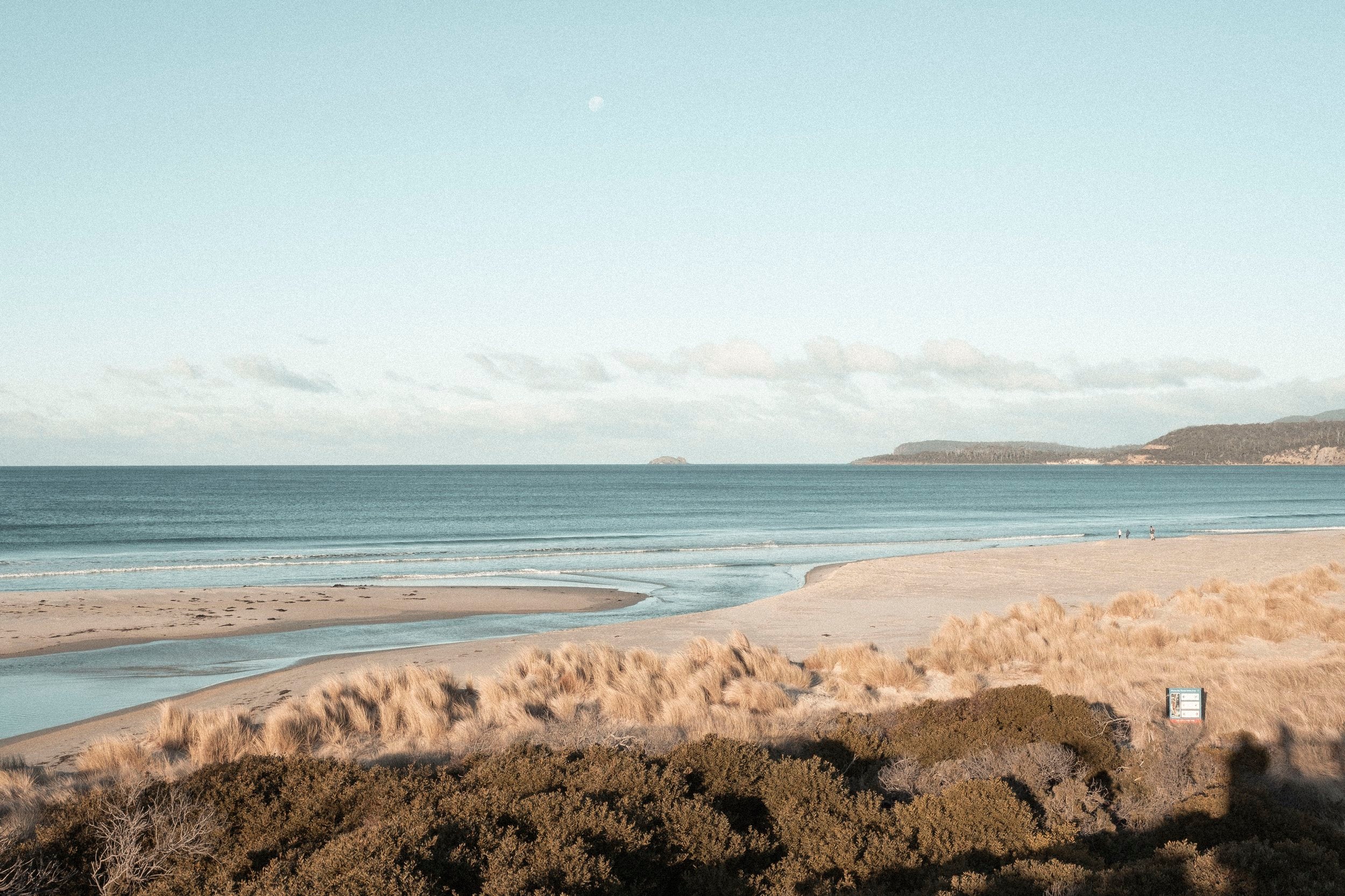 Winter at 42 Degrees South